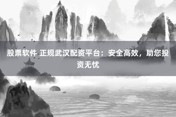 股票软件 正规武汉配资平台:安全高效,助您投资无忧