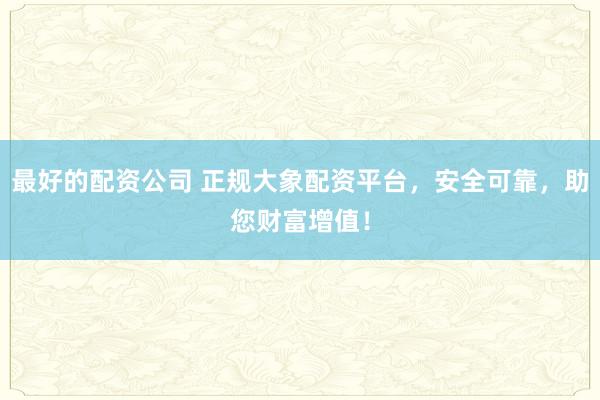 最好的配资公司 正规大象配资平台,安全可靠,助您财富增值!
