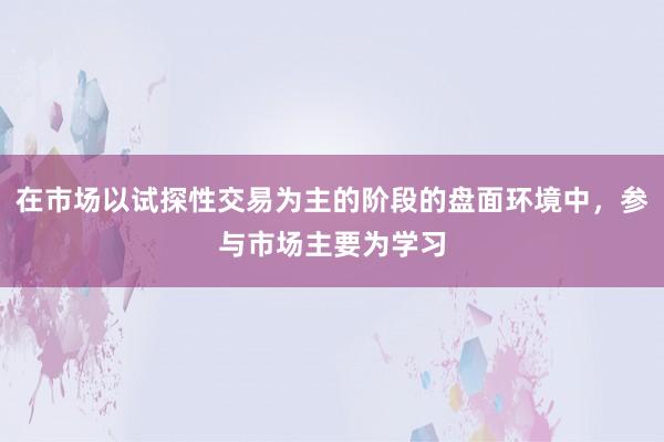 在市场以试探性交易为主的阶段的盘面环境中,参与市场主要为学习