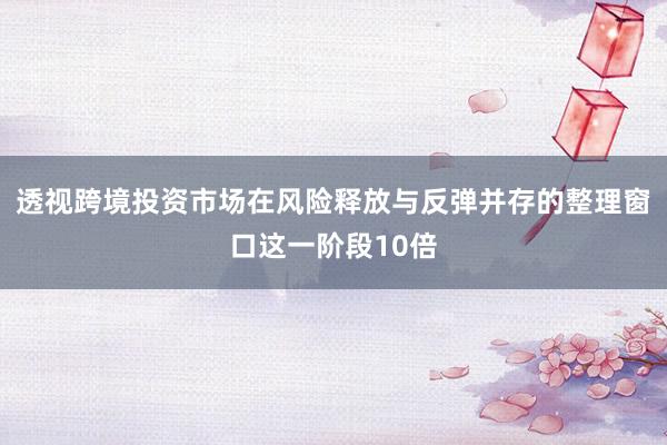 透视跨境投资市场在风险释放与反弹并存的整理窗口这一阶段10倍