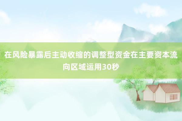 在风险暴露后主动收缩的调整型资金在主要资本流向区域运用30秒
