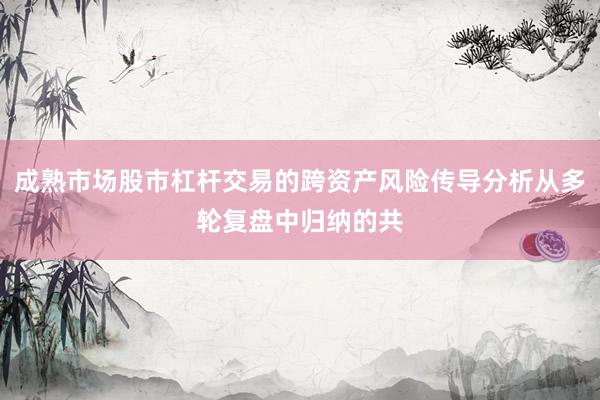 成熟市场股市杠杆交易的跨资产风险传导分析从多轮复盘中归纳的共