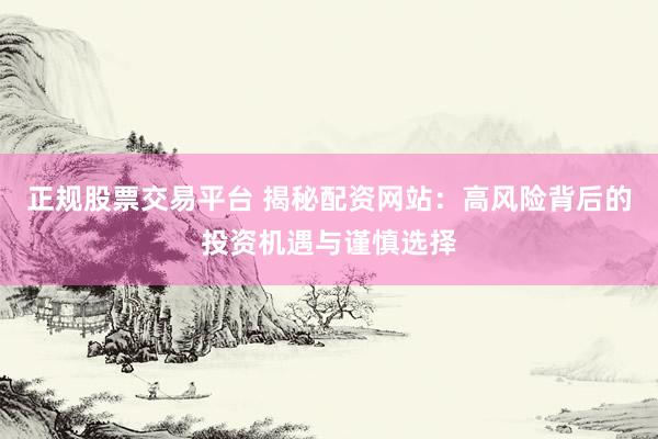 正规股票交易平台 揭秘配资网站：高风险背后的投资机遇与谨慎选择