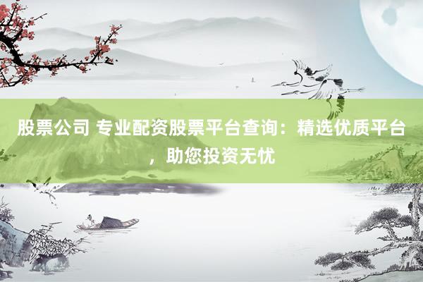 股票公司 专业配资股票平台查询：精选优质平台，助您投资无忧