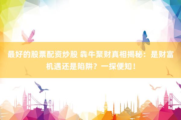 最好的股票配资炒股 犇牛聚财真相揭秘：是财富机遇还是陷阱？一探便知！