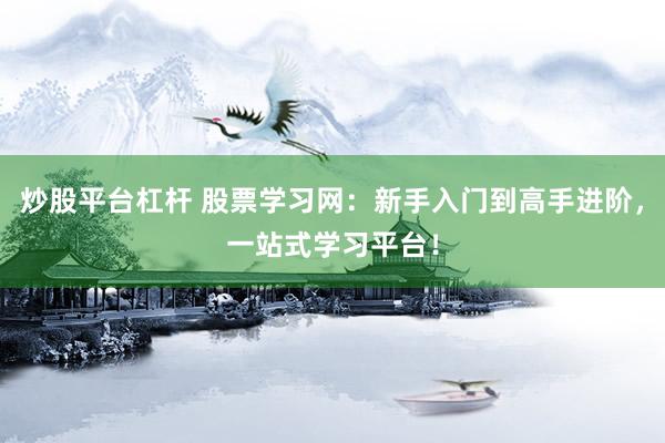 炒股平台杠杆 股票学习网：新手入门到高手进阶，一站式学习平台！